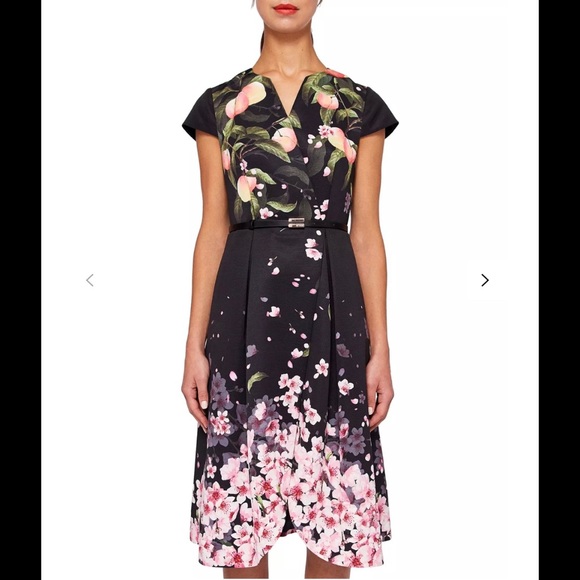 Ted Baker Fredica Peach/Cherry Blossom Dress - US Size 6 (Ted Size 2) - Picture 7 of 8